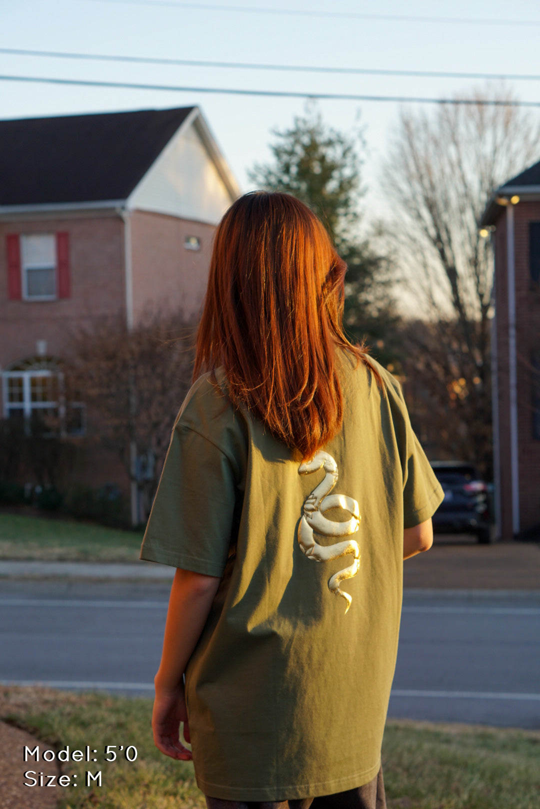 take it slow - year of the snake tee