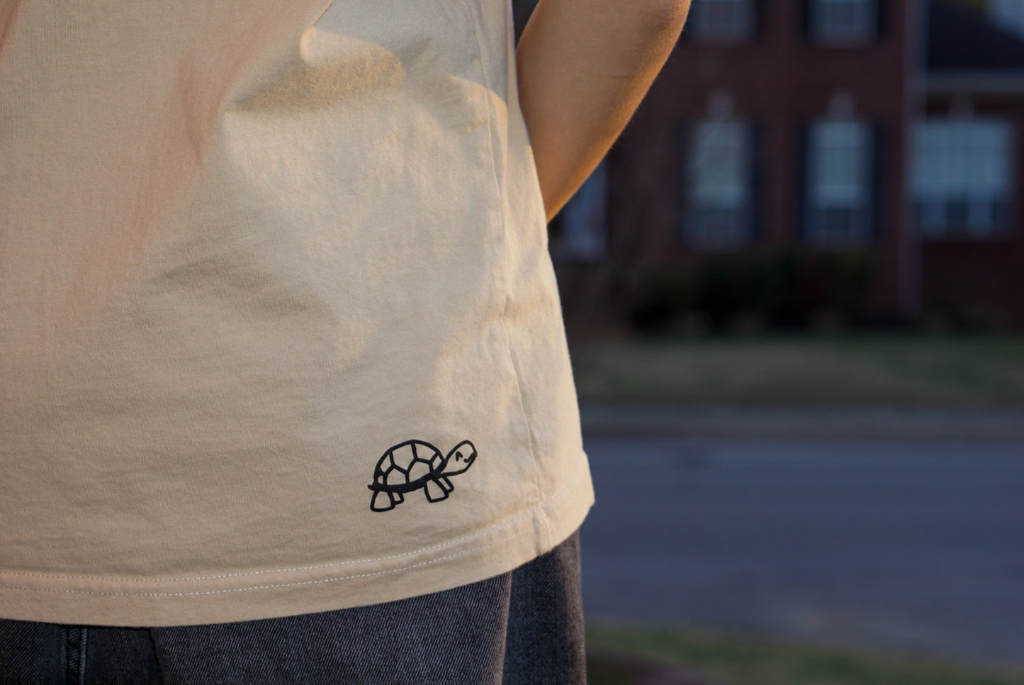 take it slow - subtle turtle doodle tee