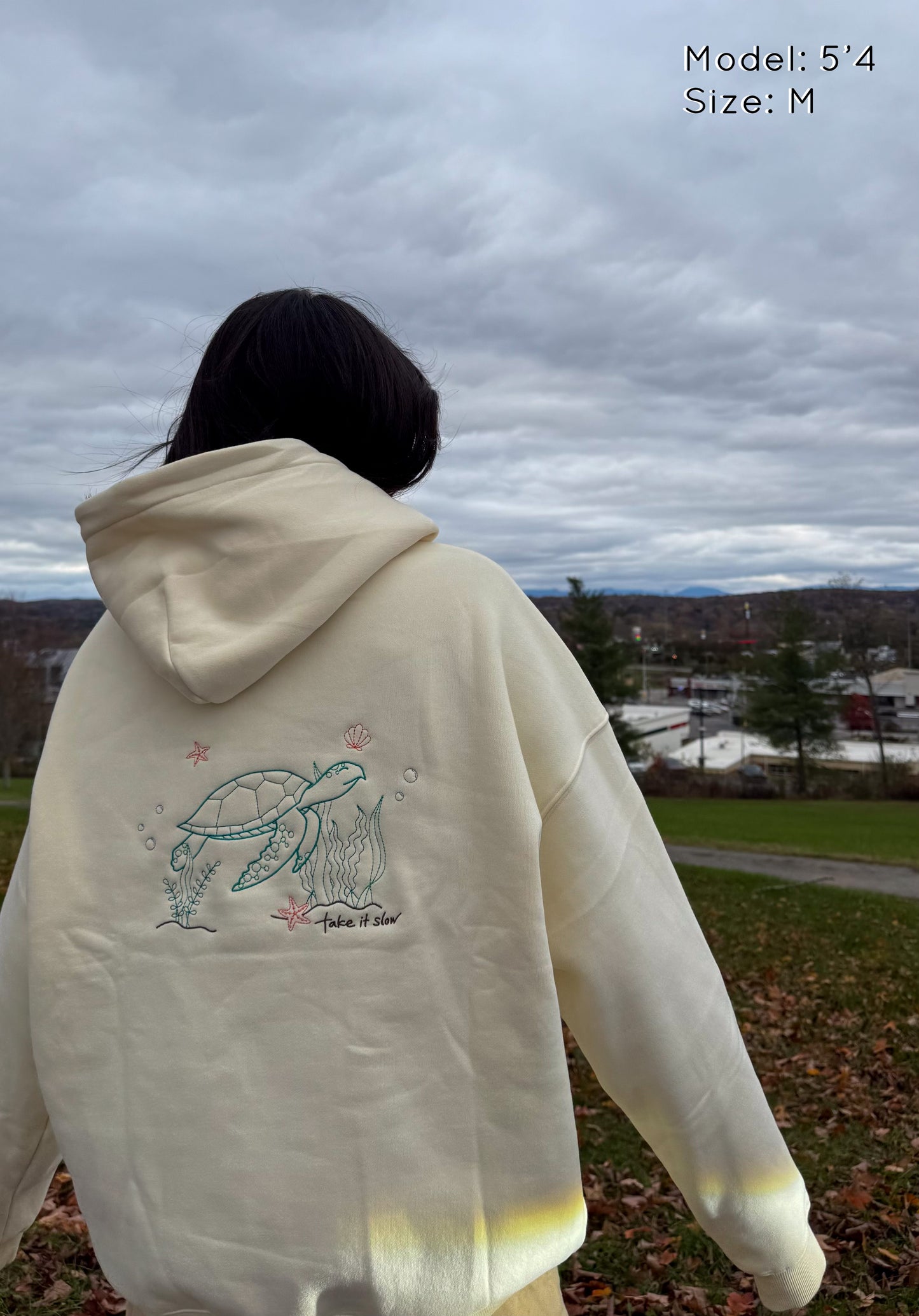 take it slow - embroidered turtle hoodie